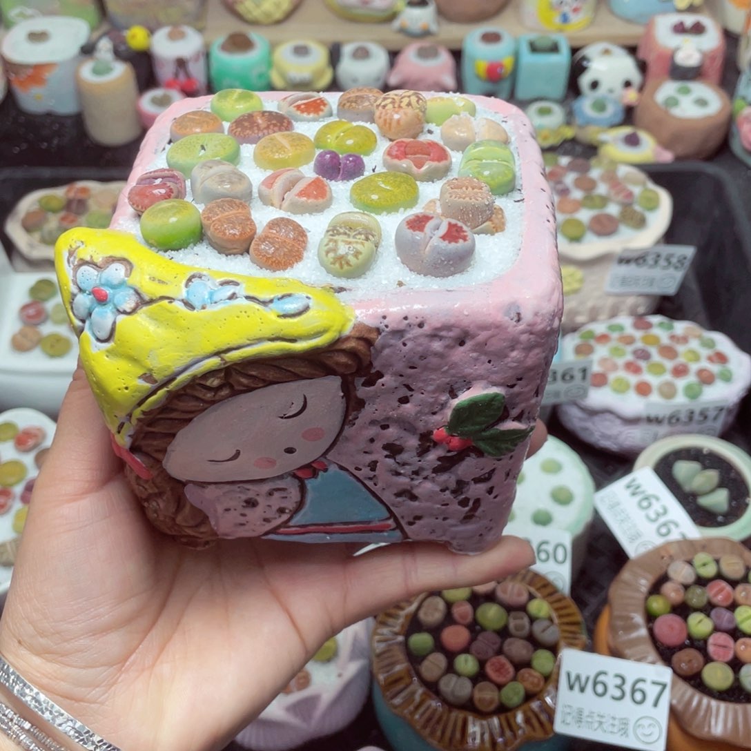 w6370 带盆土发货-零下地区拍保温箱