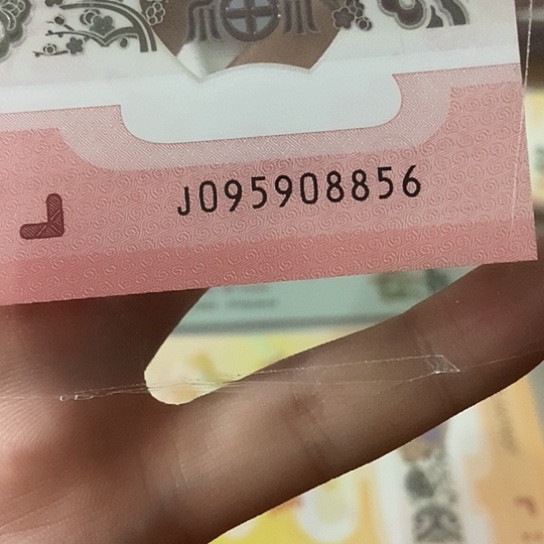 095908856…………蛇钞