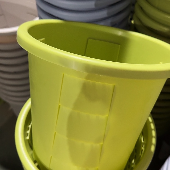 编号801果绿无托4个