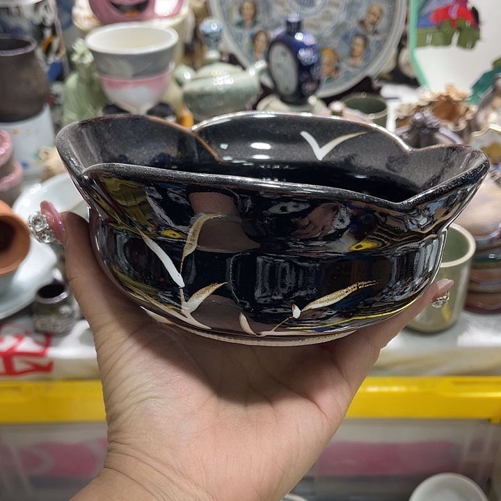 茶杯具19.9发带瑕疵牌都是坏的3