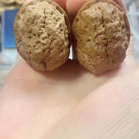 文玩核桃把件大理卧龙带彩41