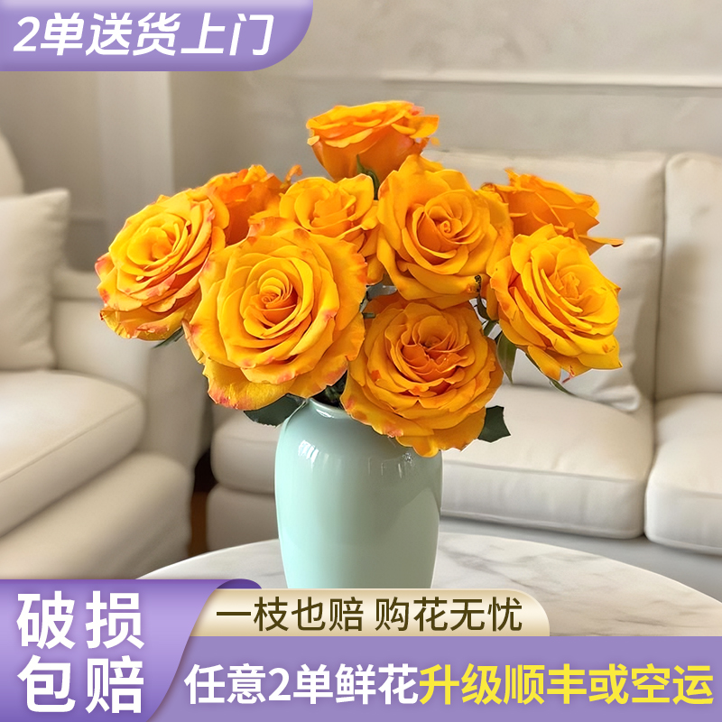 【源头优选】辉煌玫瑰-任意2单鲜花包邮 发货后不支持退款