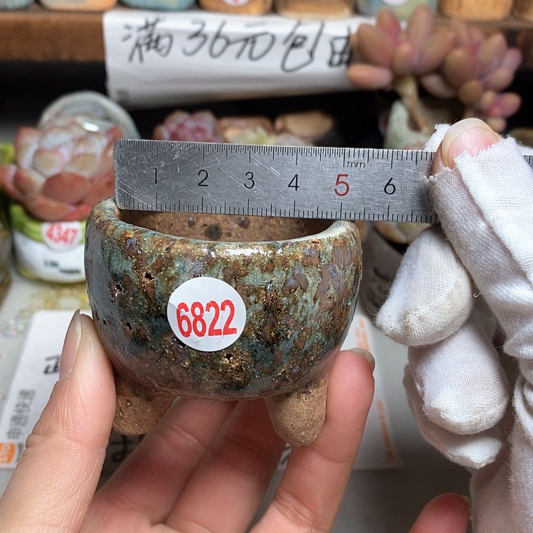 红陶拍5送一个小