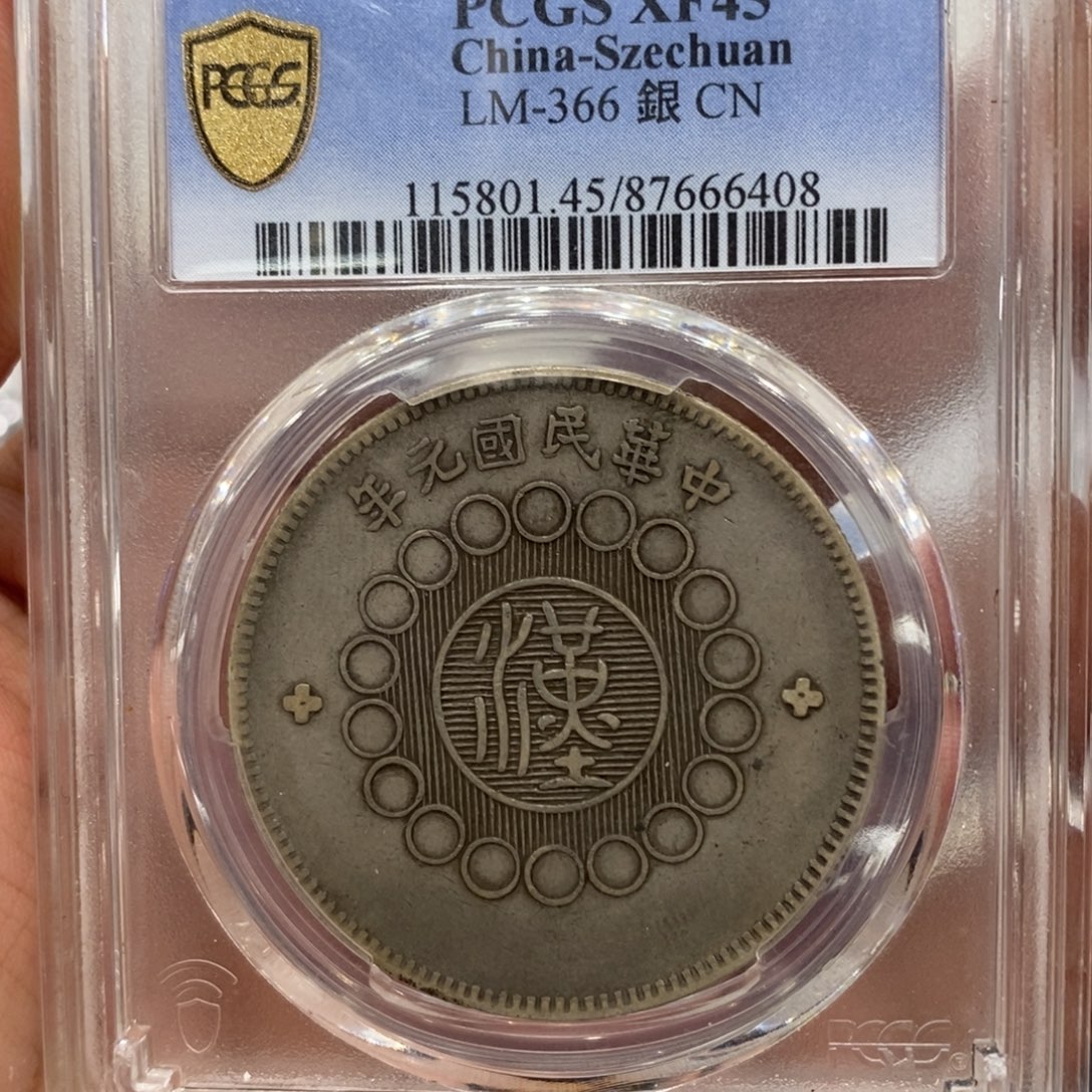 银Pcgs评级银元大汉45