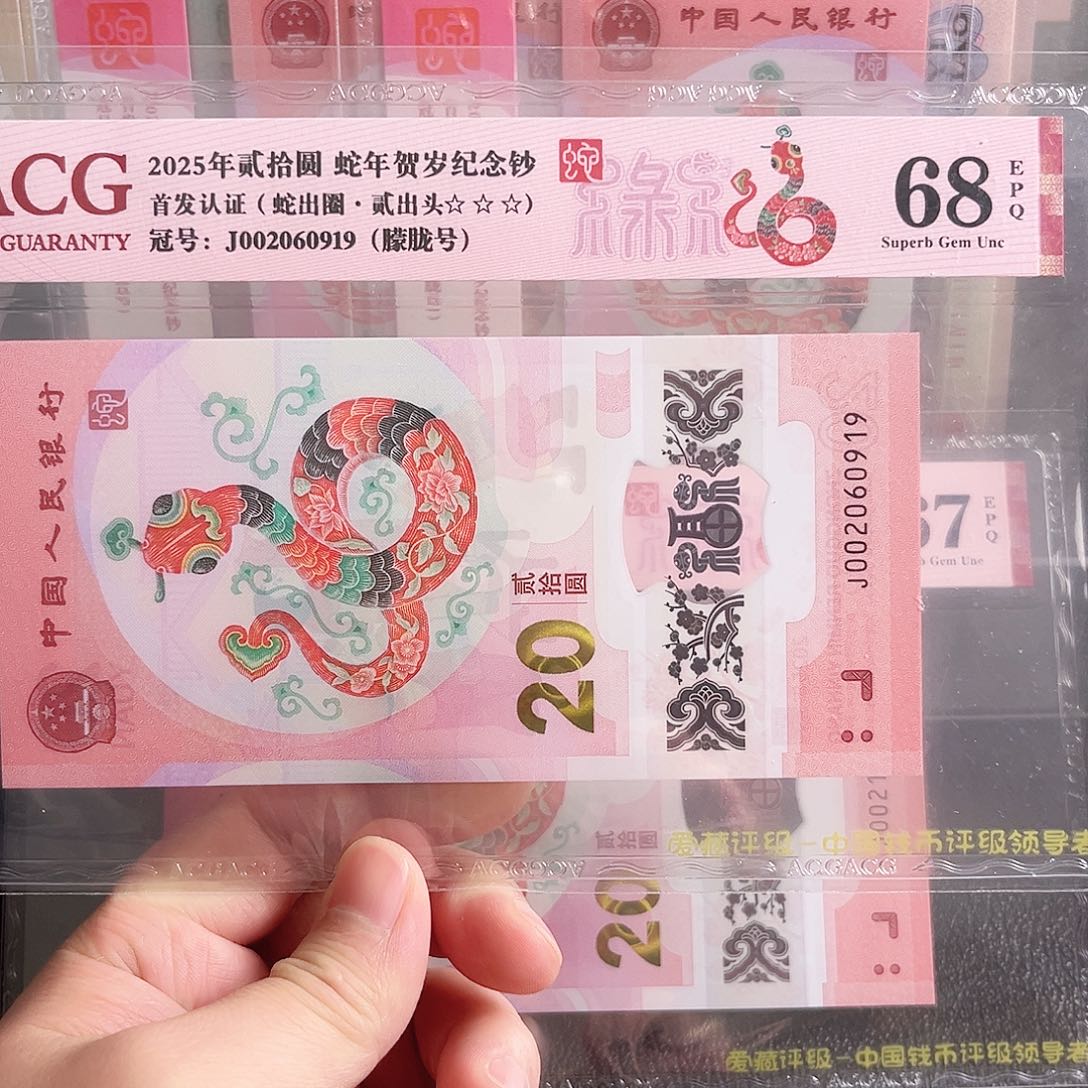 蛇钞朦胧02060919单张号码