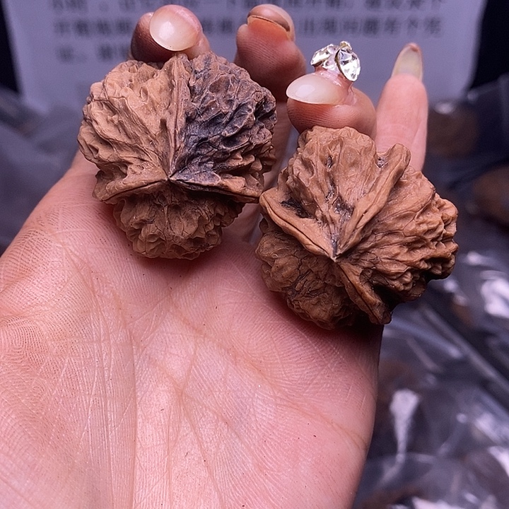 核桃云南野生铁核桃165号35mm