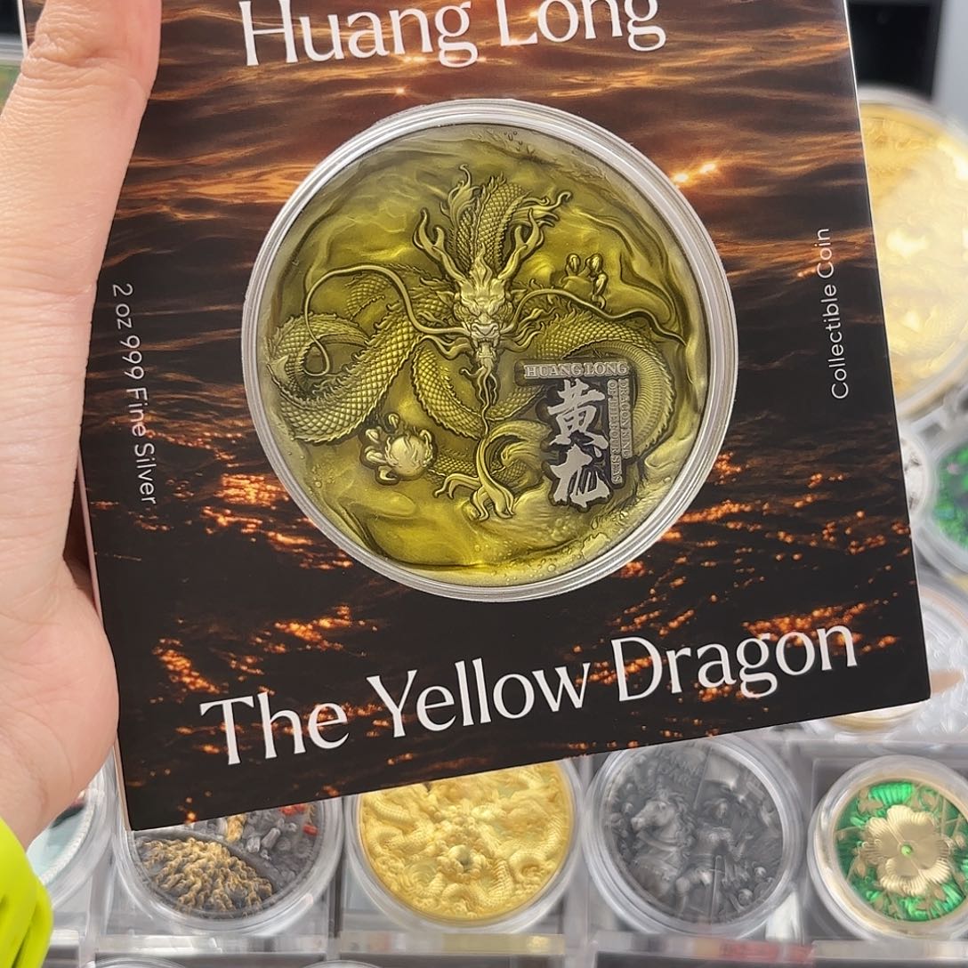 徐****纯银四海龙王银币-黄龙2024年双金属