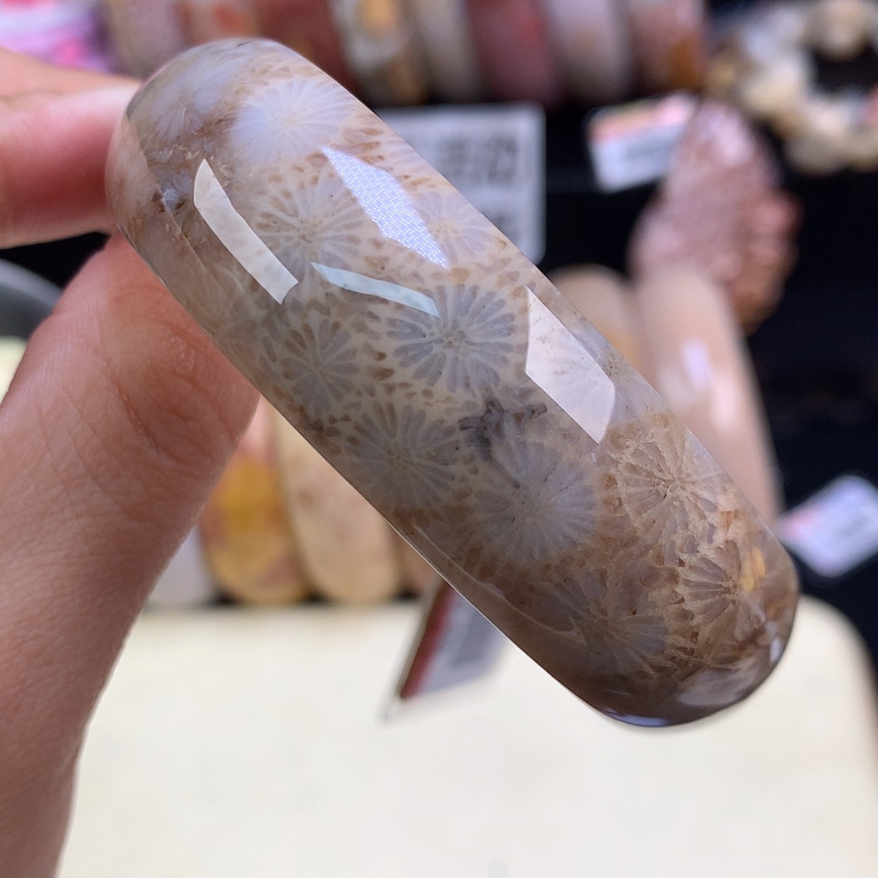 【闪购商品】颈饰未镶嵌硅化珊瑚（珊瑚玉）21号精美手镯55.9圈