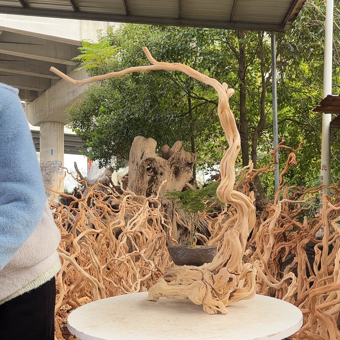 无***斋木我也不想去看了一下我喜欢