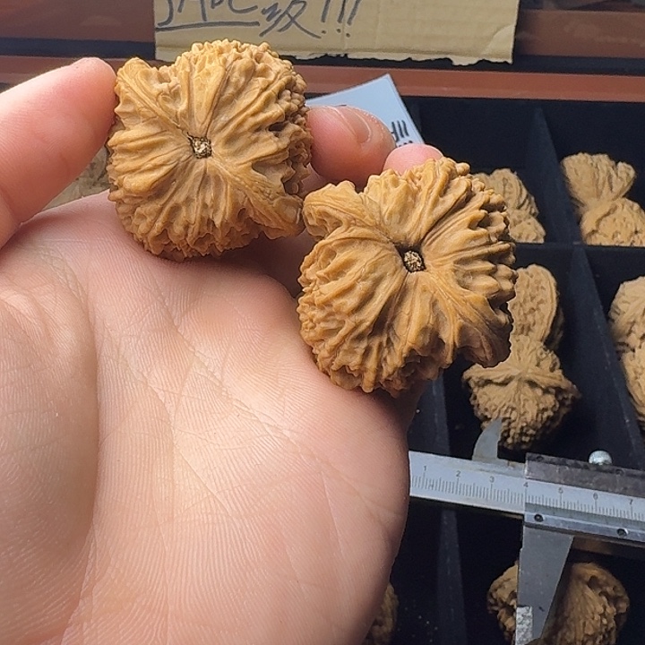 红***客大叶紫檀（黑酸枝木类）