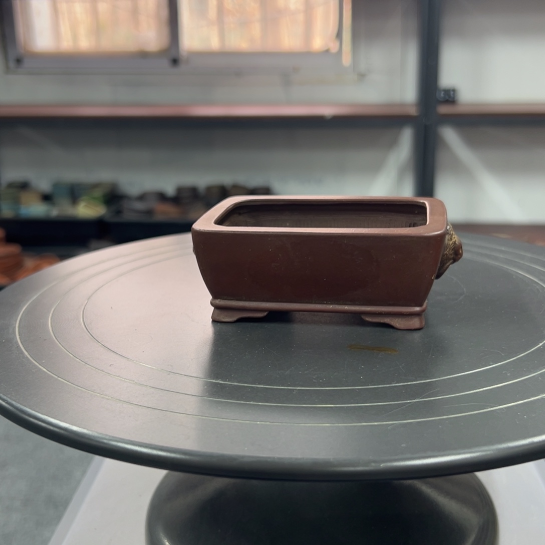 红陶红红火火过大年