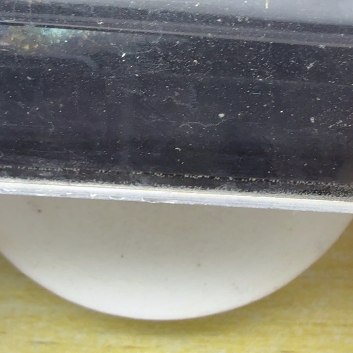 青鳉鱼8号青鳉鱼鱼
