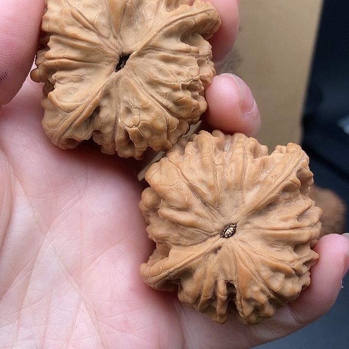 用***李大大大大大官帽有点兜边