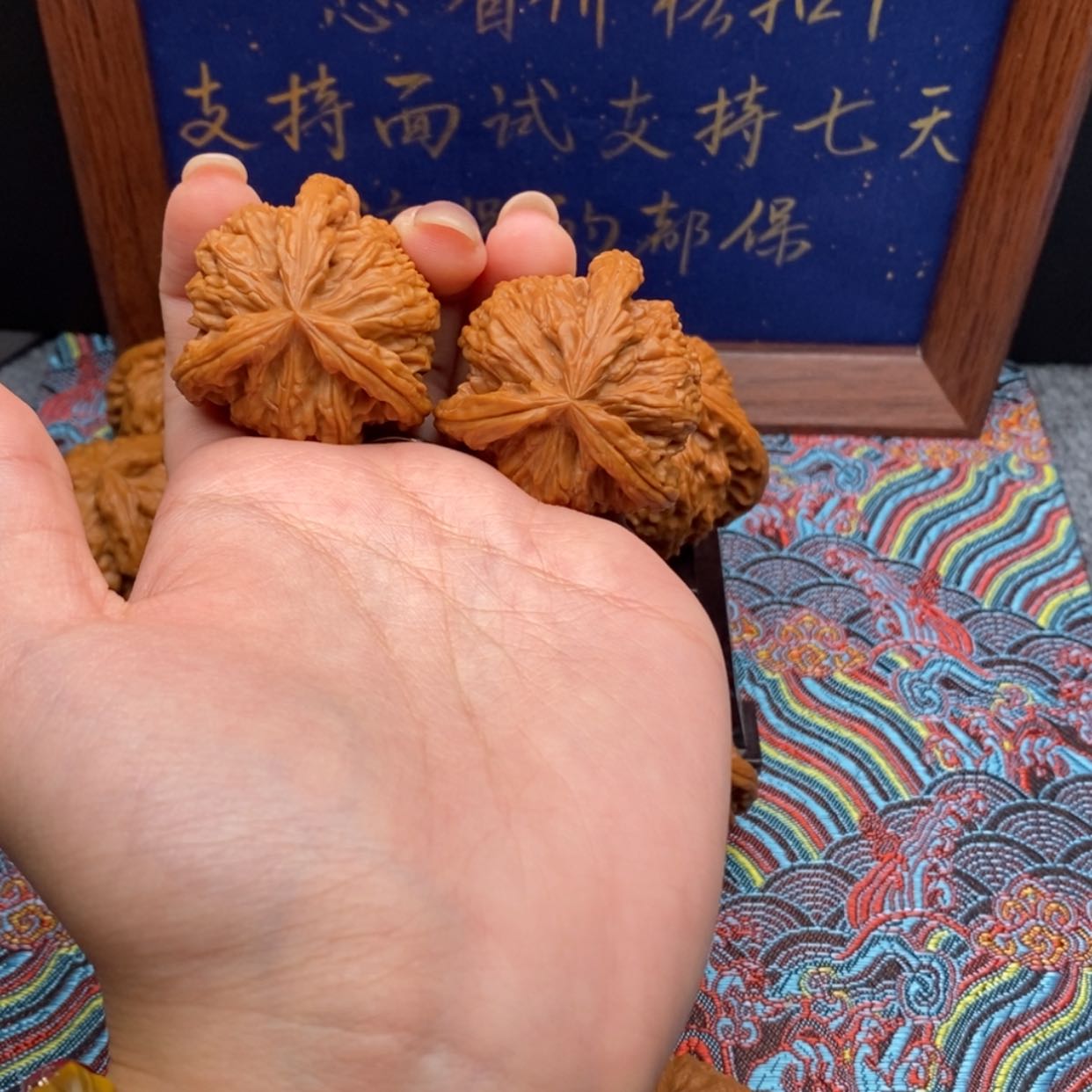 【闪购商品】c*白狮