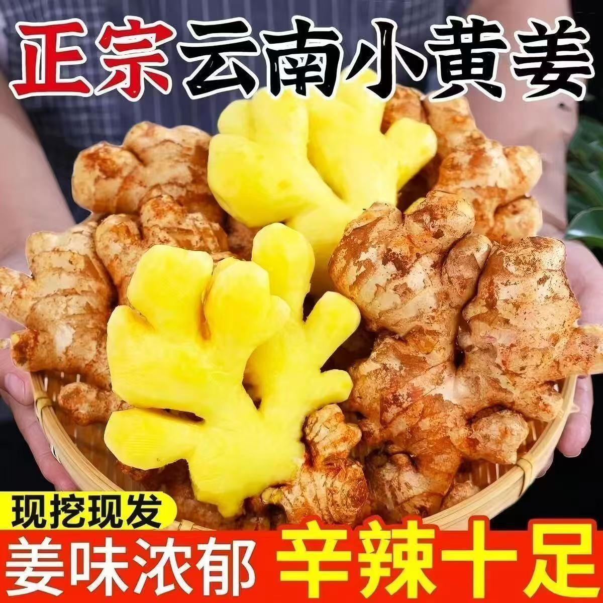 正宗云南高山新鲜现挖小黄姜老姜嫩姜月子姜蔬菜调料