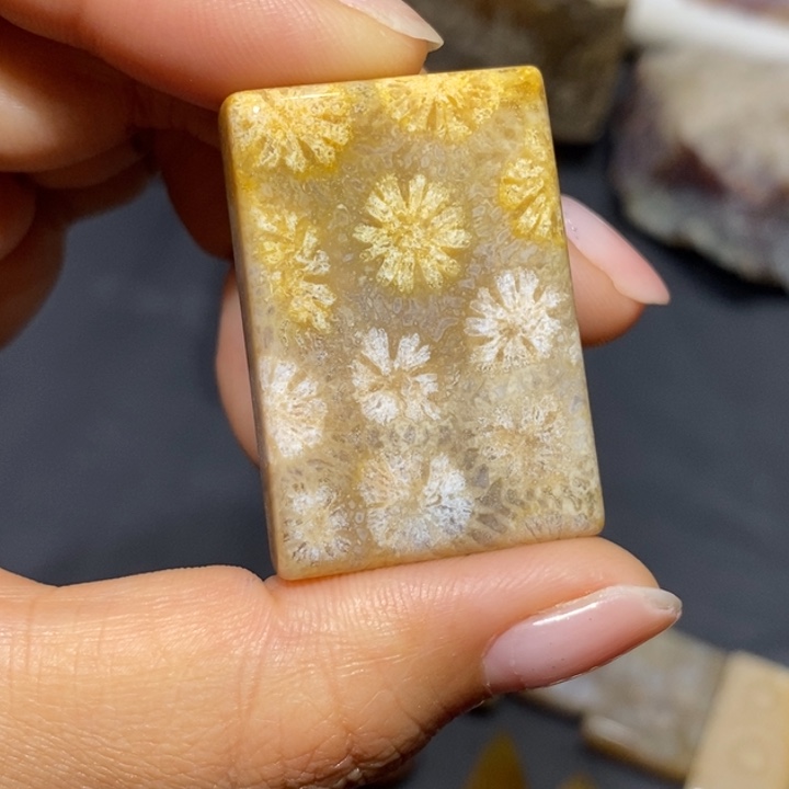 【闪购商品】未镶嵌珊瑚玉硅化玉