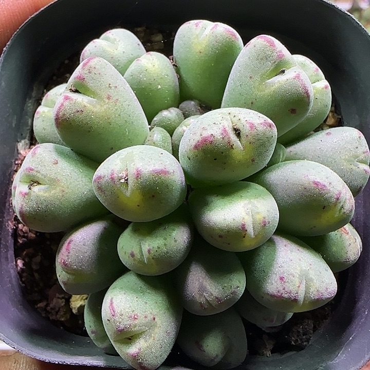 哈哈哈哈哈哈哈哈810