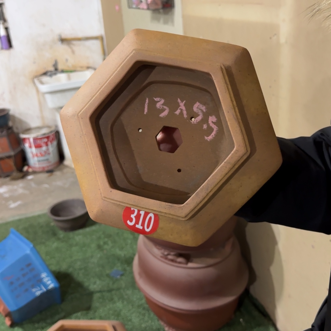 紫砂花盆呜呜呜呜