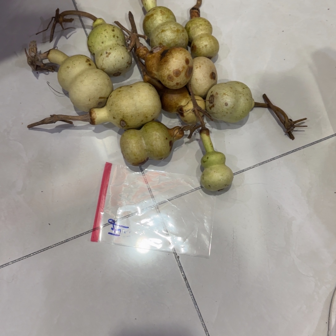 经***场葫芦乐乐乐乐乐乐乐乐咯哦