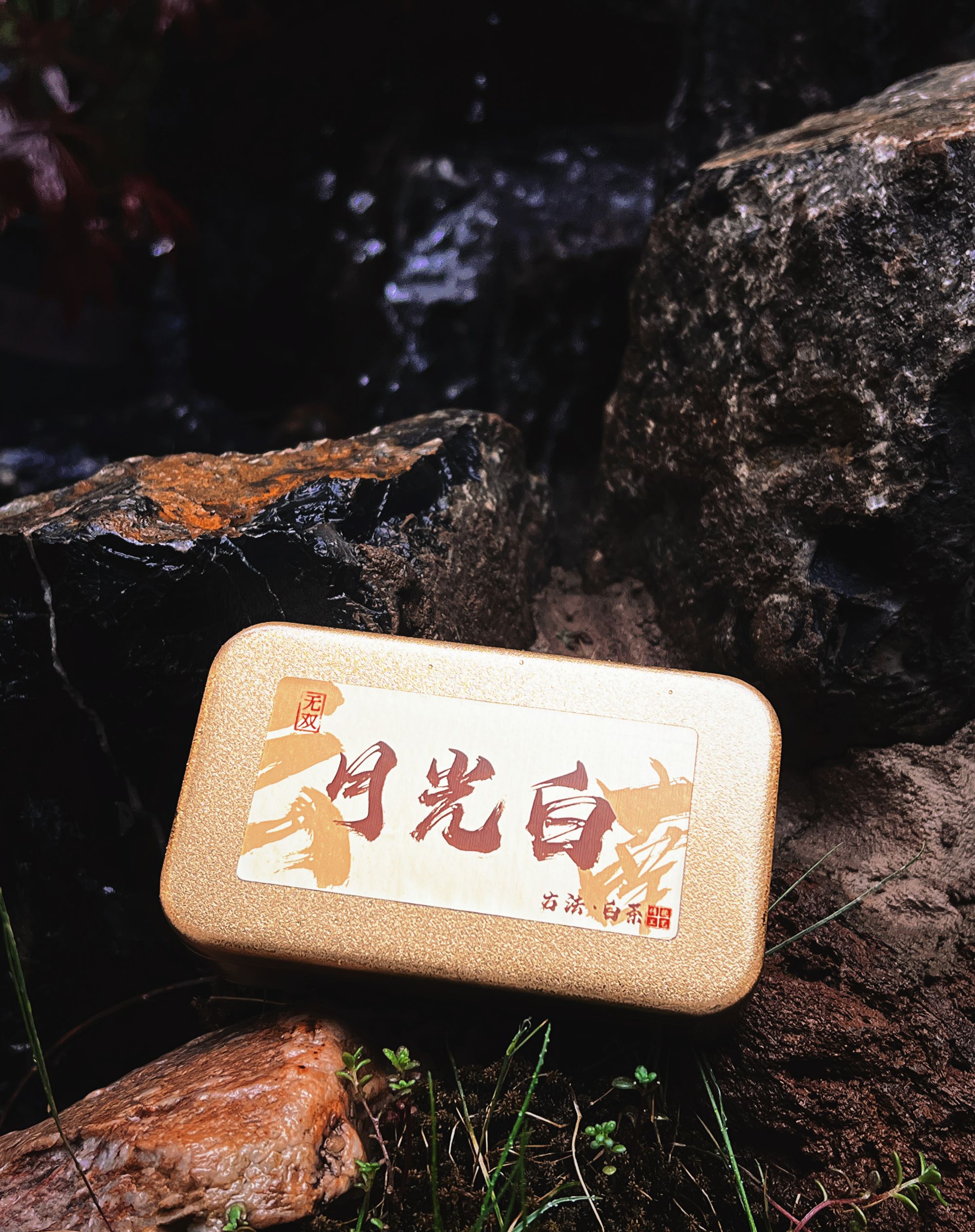 【2021年月光白】普洱茶白茶 闷泡专用茶 白茶小方片便携装出行必备