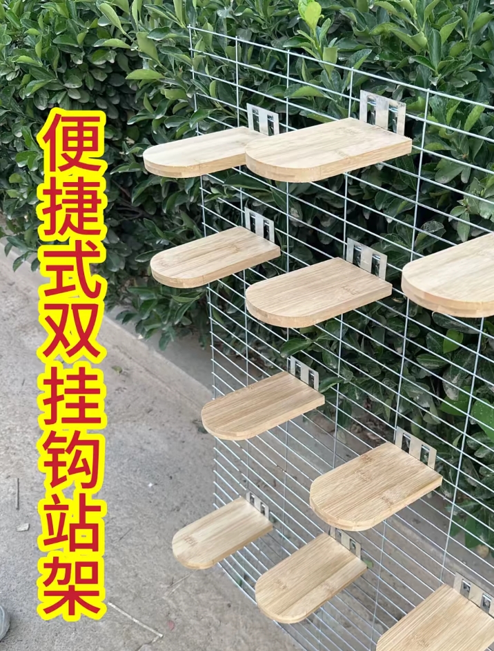 竹木双卡扣雪糕站架10个