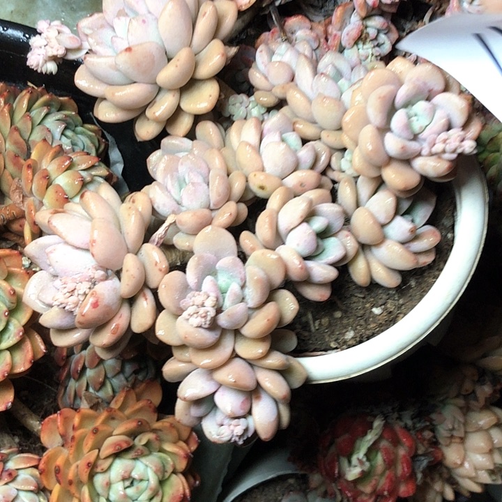 ?*?61/////////////////