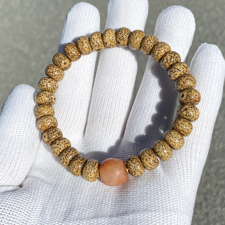 忆藏精选：手盘老星月菩提