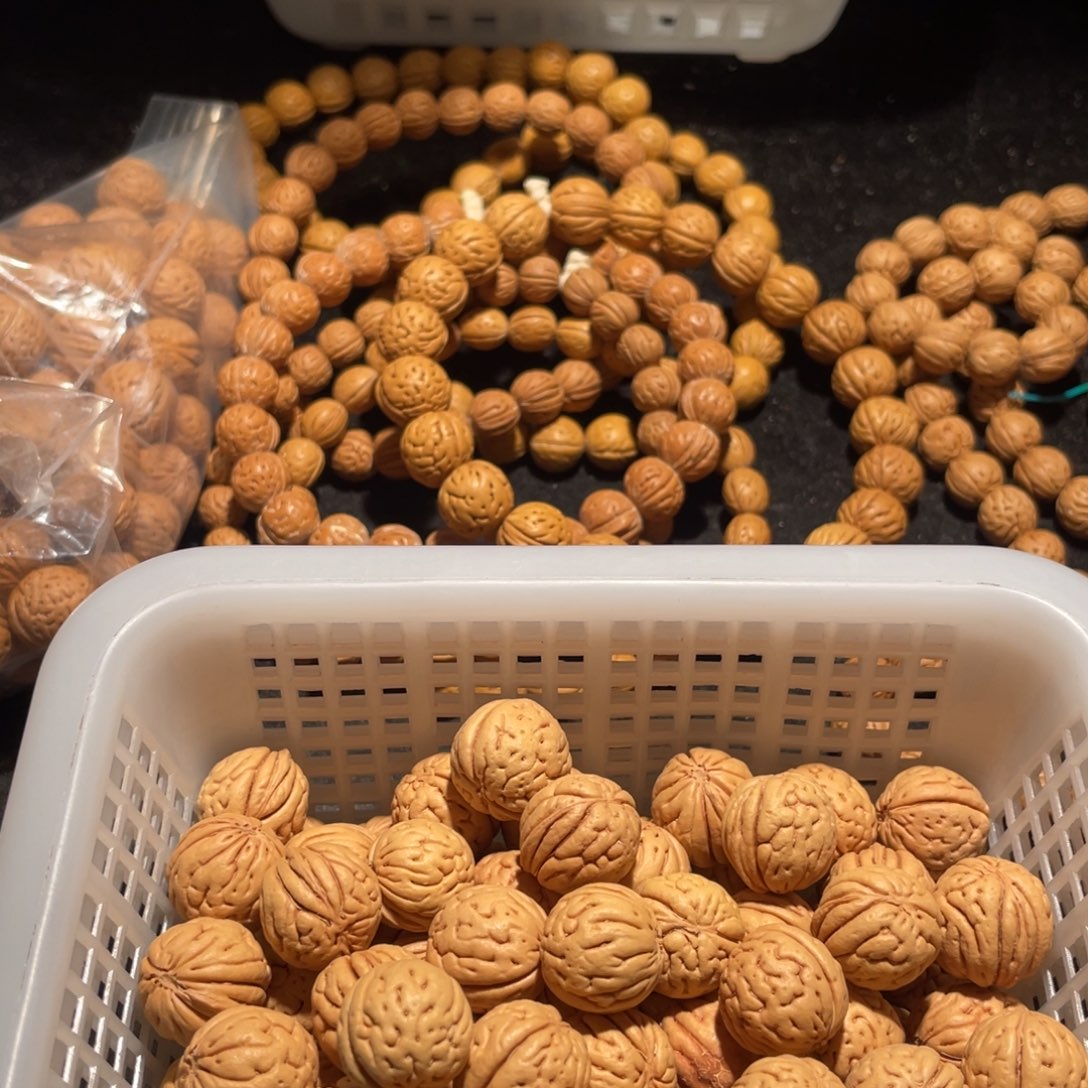 【闪购商品】辉散子批发120米