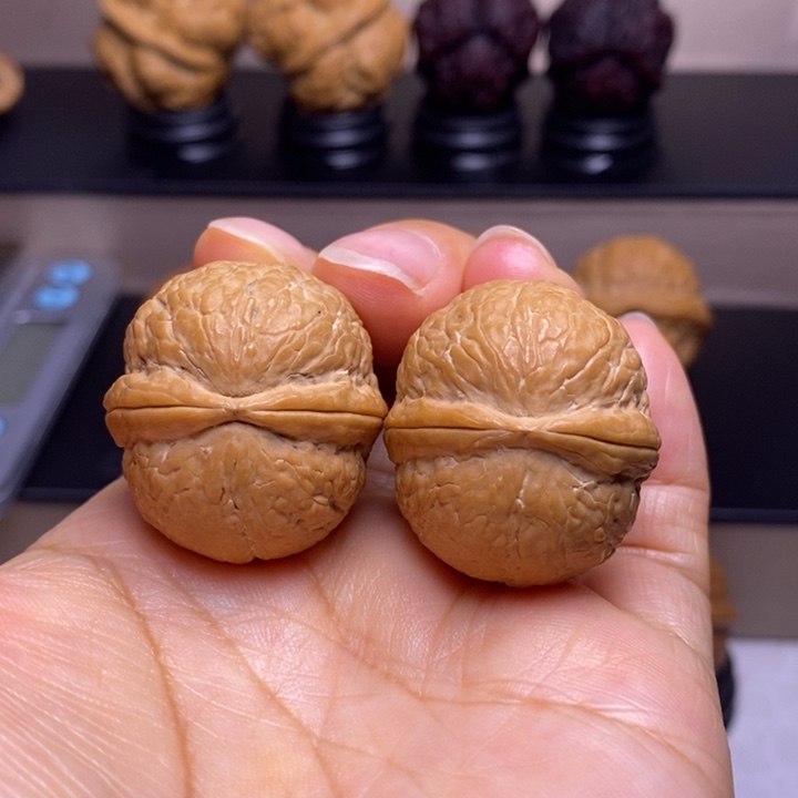 文玩核桃把件碧海龙珠48