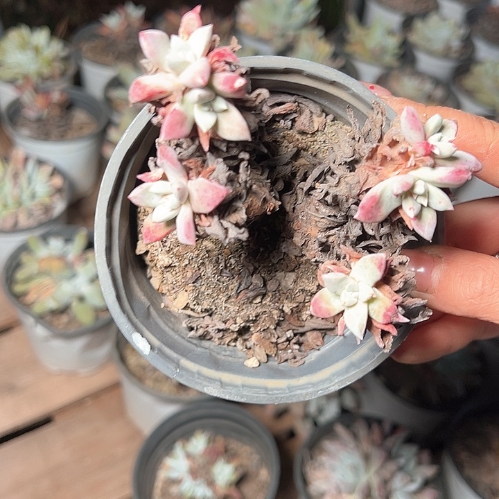 750哈哈哈哈哈哈哈哈