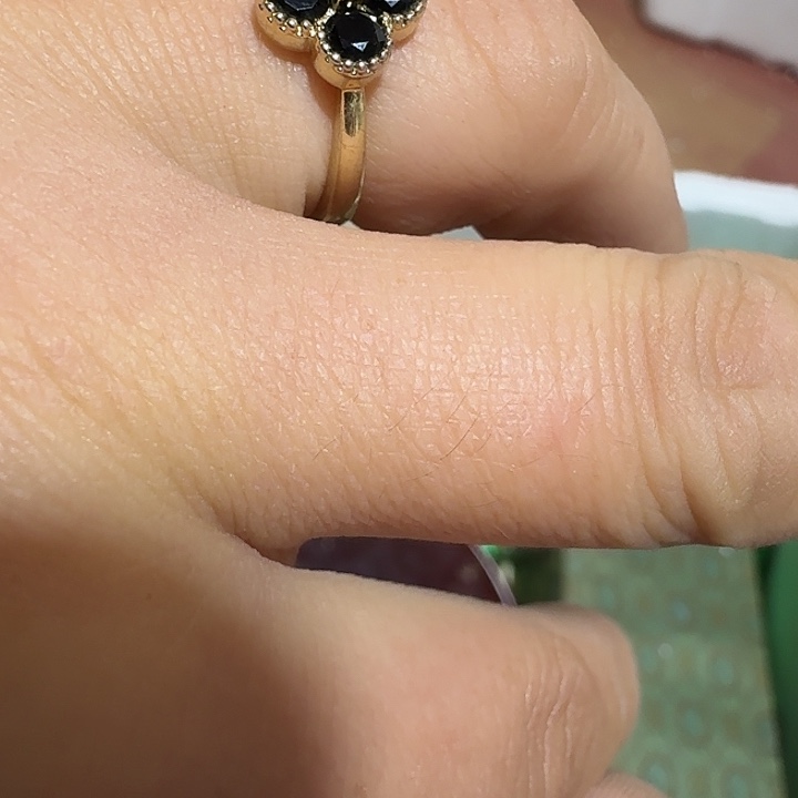 ～***～扇子nxxjxjxjdjxdhd