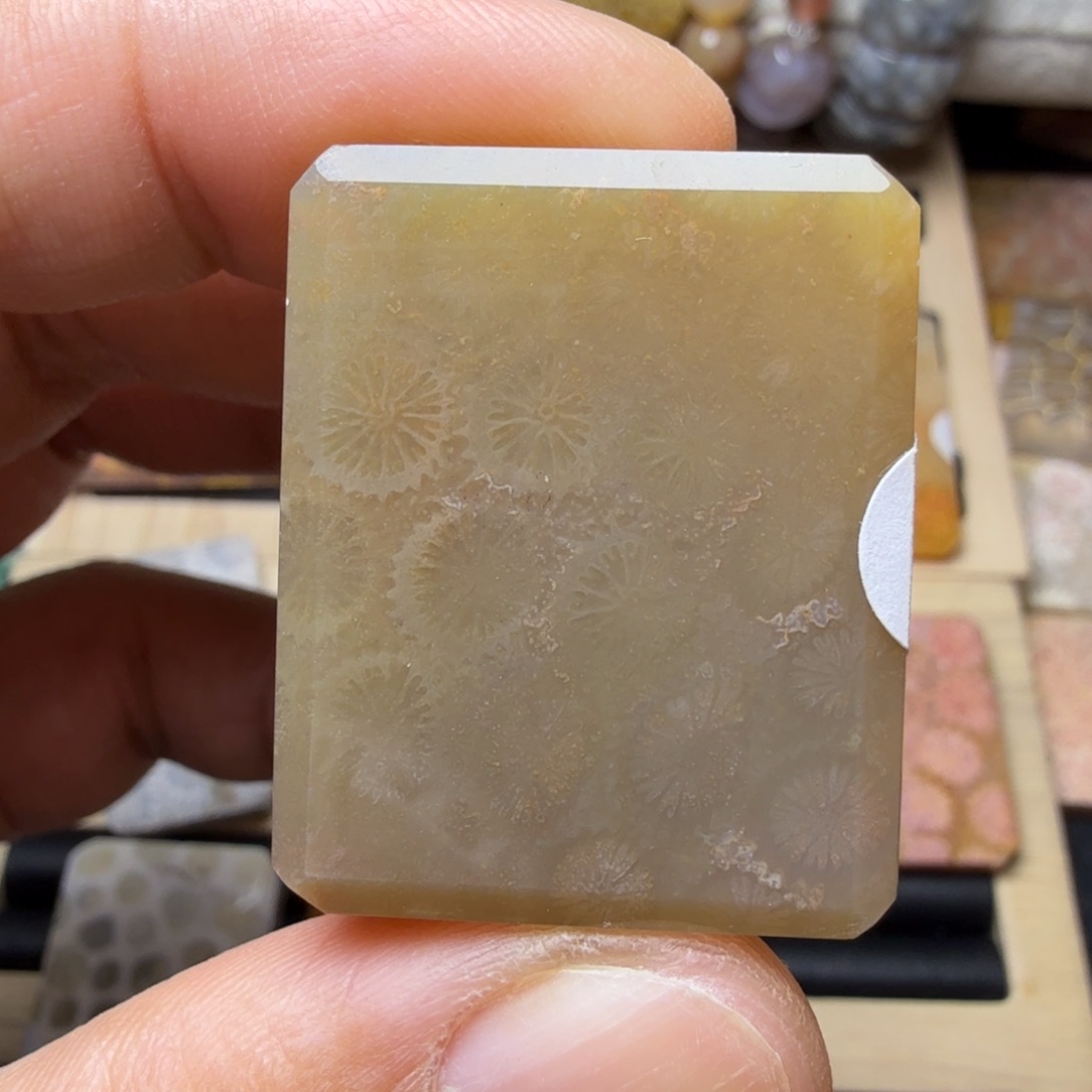 硅化玉未镶嵌纯天然色有机玉石保真色