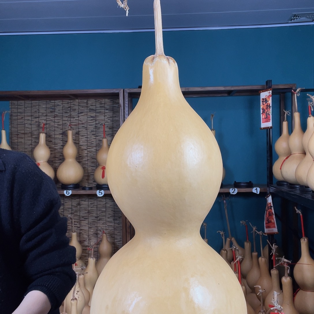 自**S大葫芦大葫芦大葫芦