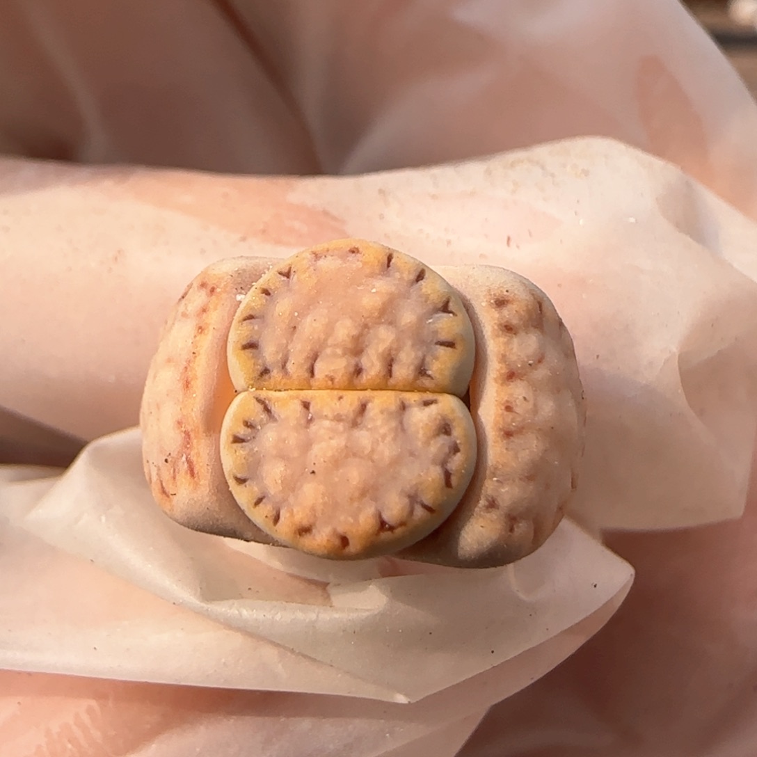 3.8，.6，淡紫色，9011