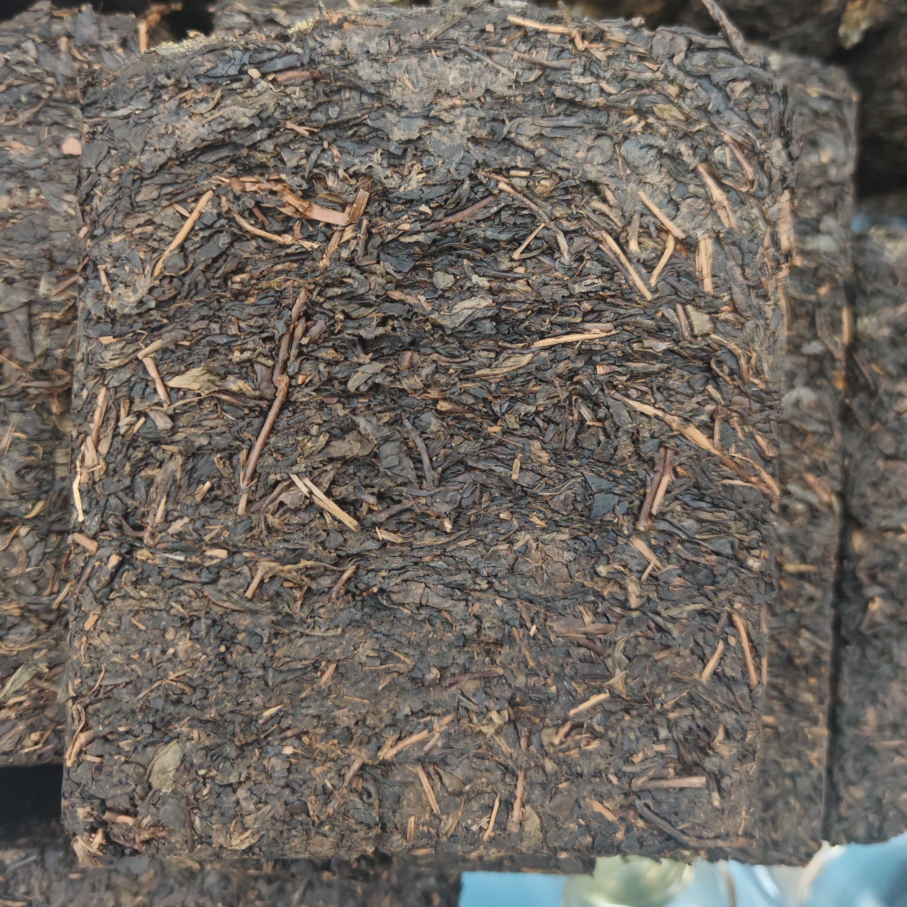 安化黑茶春季原料2010年金花茯砖500克2025年出厂