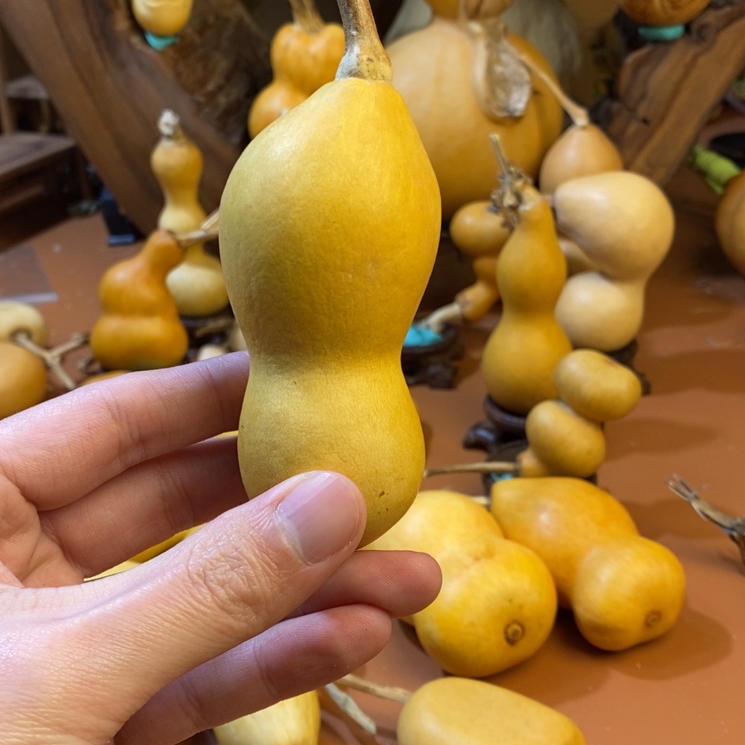 S***y教练教练咯教练经理