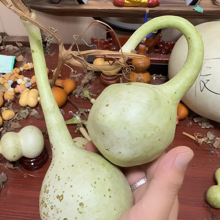 美***嗷sgjatjstjstjstjgsjgsnsgn