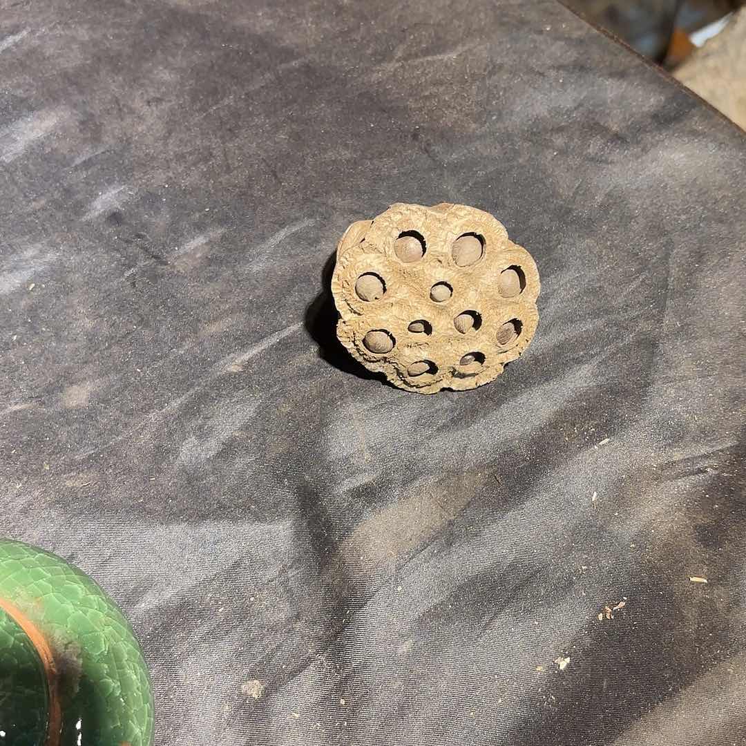 用***字金丝楠金丝楠木雕刻