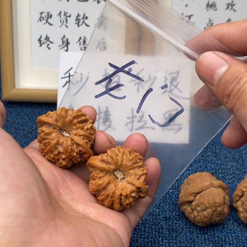 【闪购商品】文玩核桃把件573573537537537537