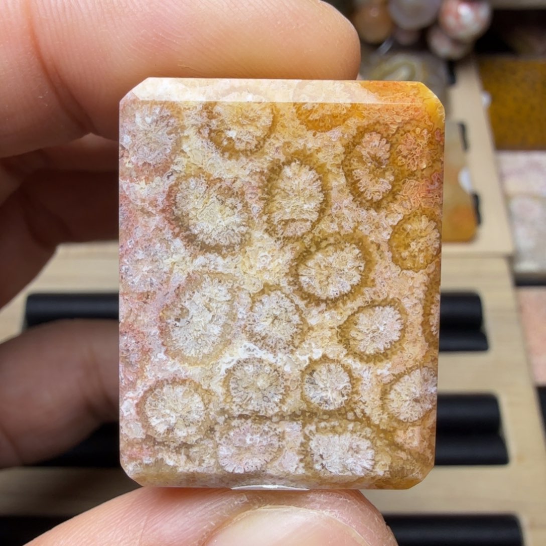 硅化玉未镶嵌纯天然色有机玉石保真色