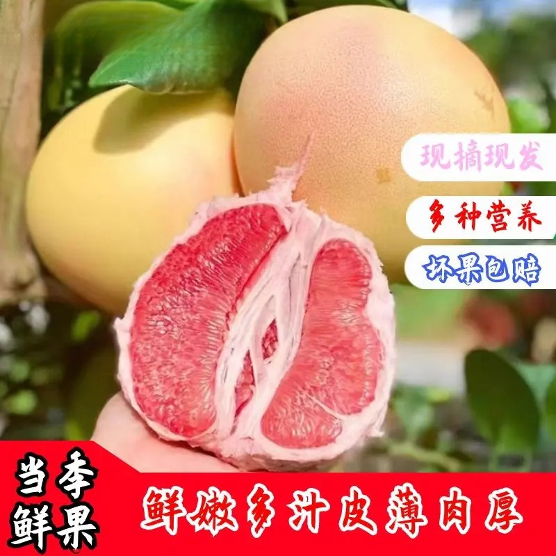 【香甜可口】正宗广东梅州柚子产地直销东方优选果园直发柚子红心柚