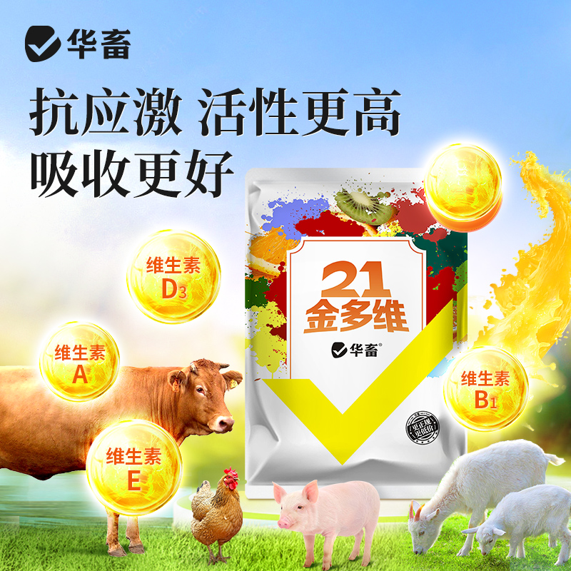 【拌料2吨】兽用电解金多维鸡用猪牛羊禽用维生素电解质益生菌华畜Z