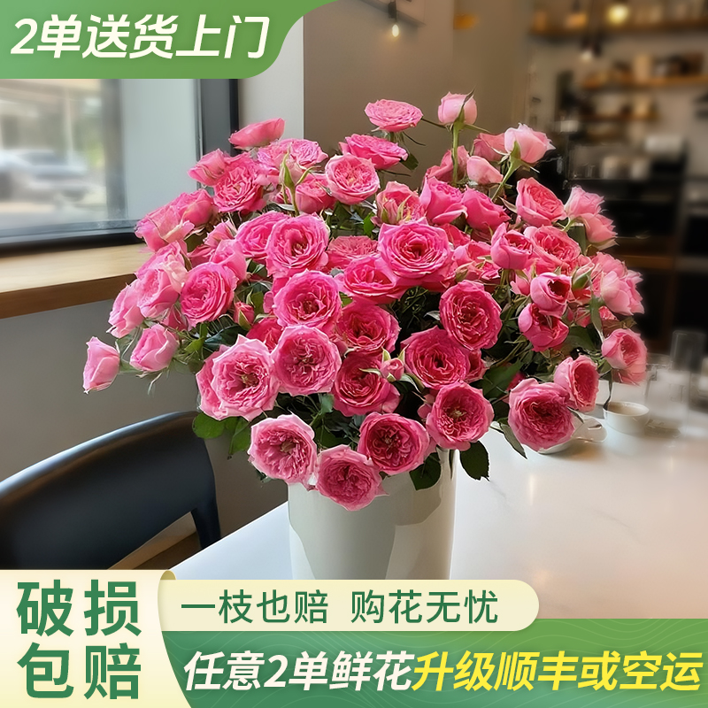 【大聪明卖花】苏菲宝贝多头玫瑰-任意两单鲜花升级快递-新年福利