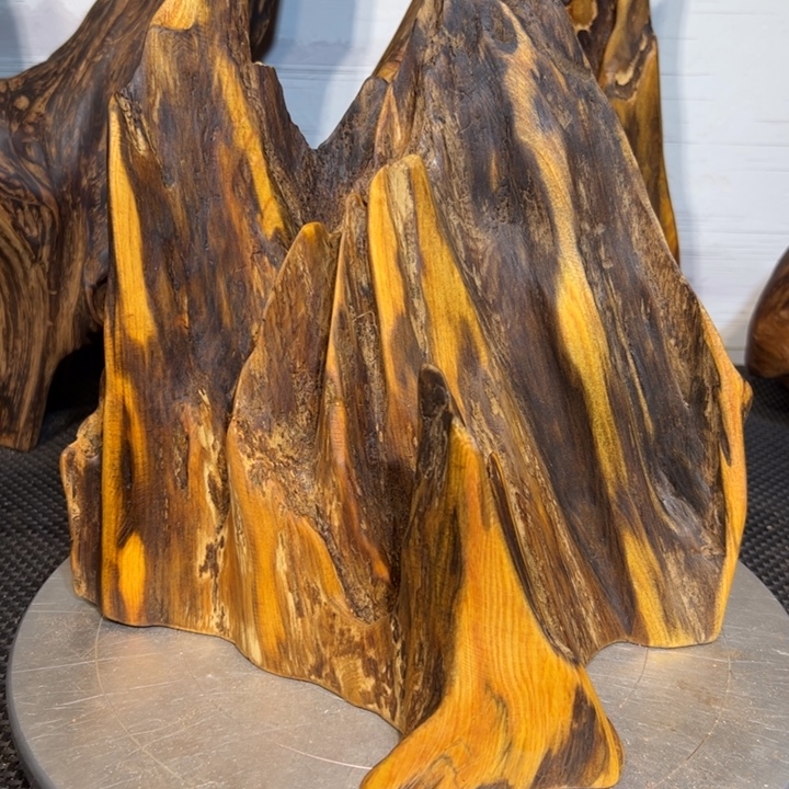 此***景木直播间一物一拍