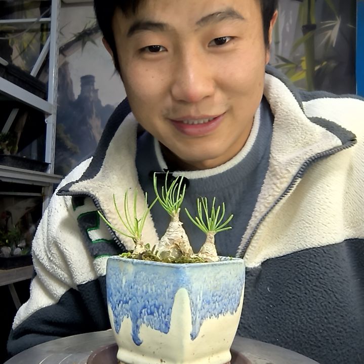 思***邪中青园艺一物一拍花85