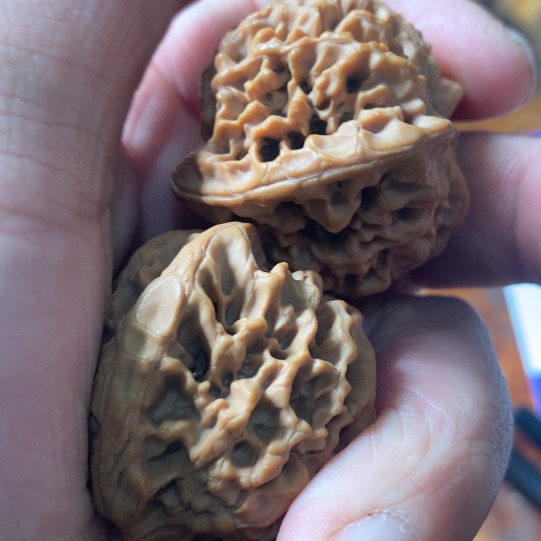 徵**r秦岭南侧与黄河北岸之间