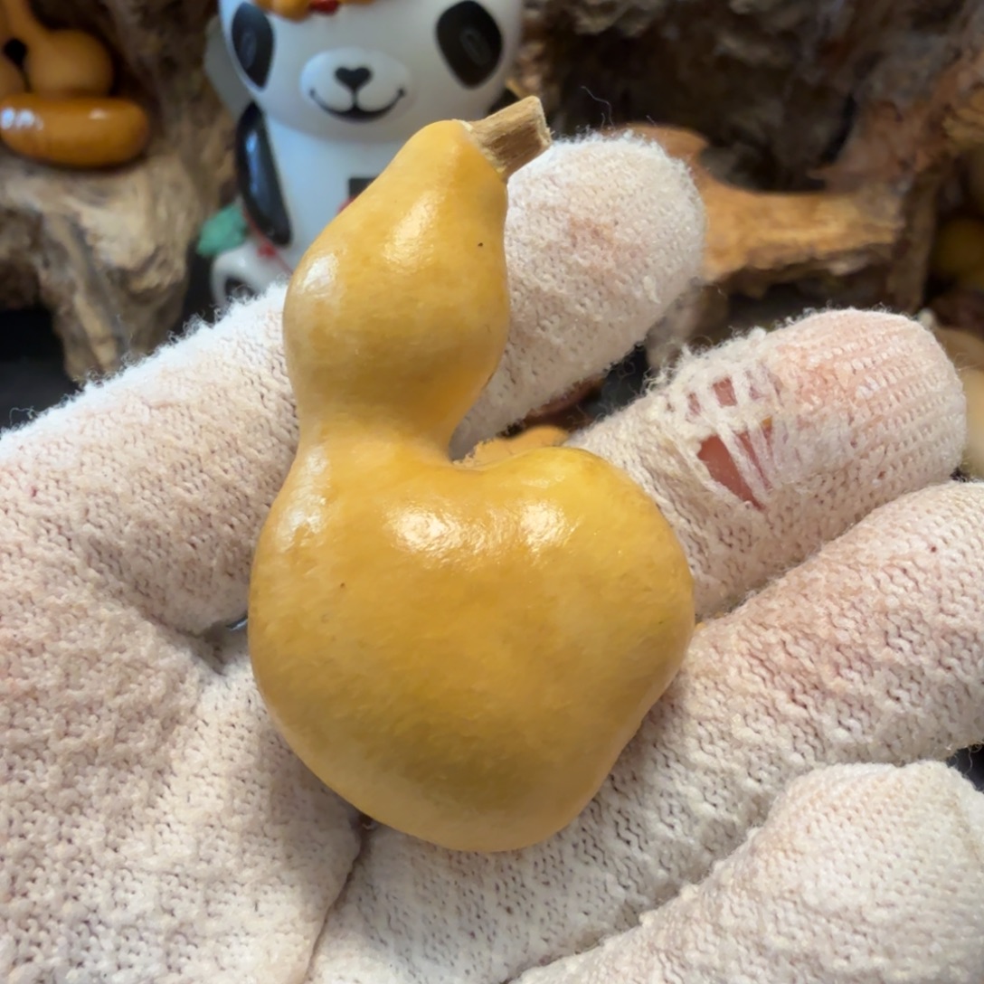 凯***666666666666666666666