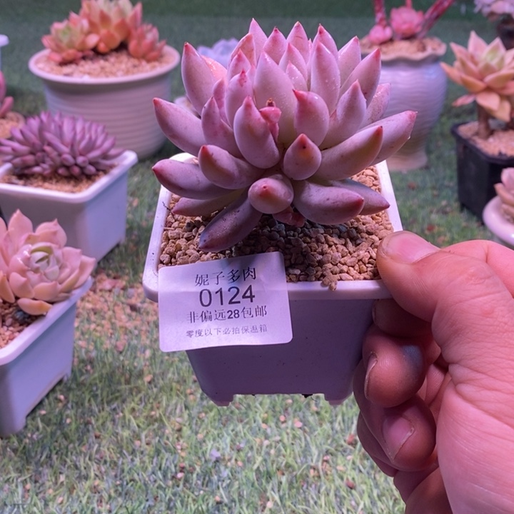 0124啊啊啊啊啊啊啊啊啊啊啊啊