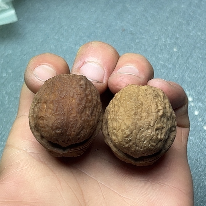 文玩核桃把件28蟒纹元宝38尺