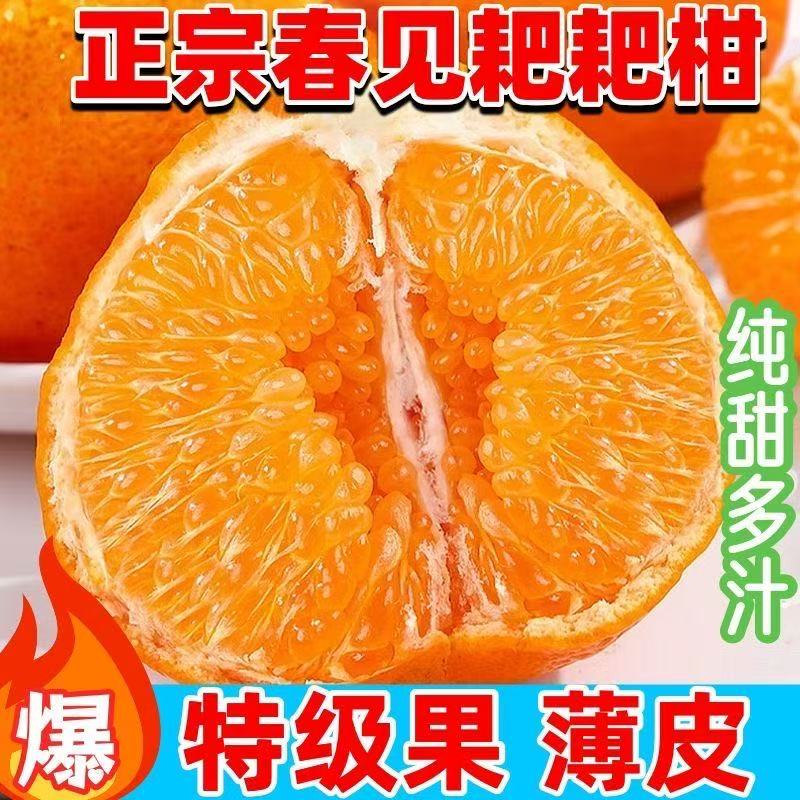 四川春见耙耙柑应季新鲜水果